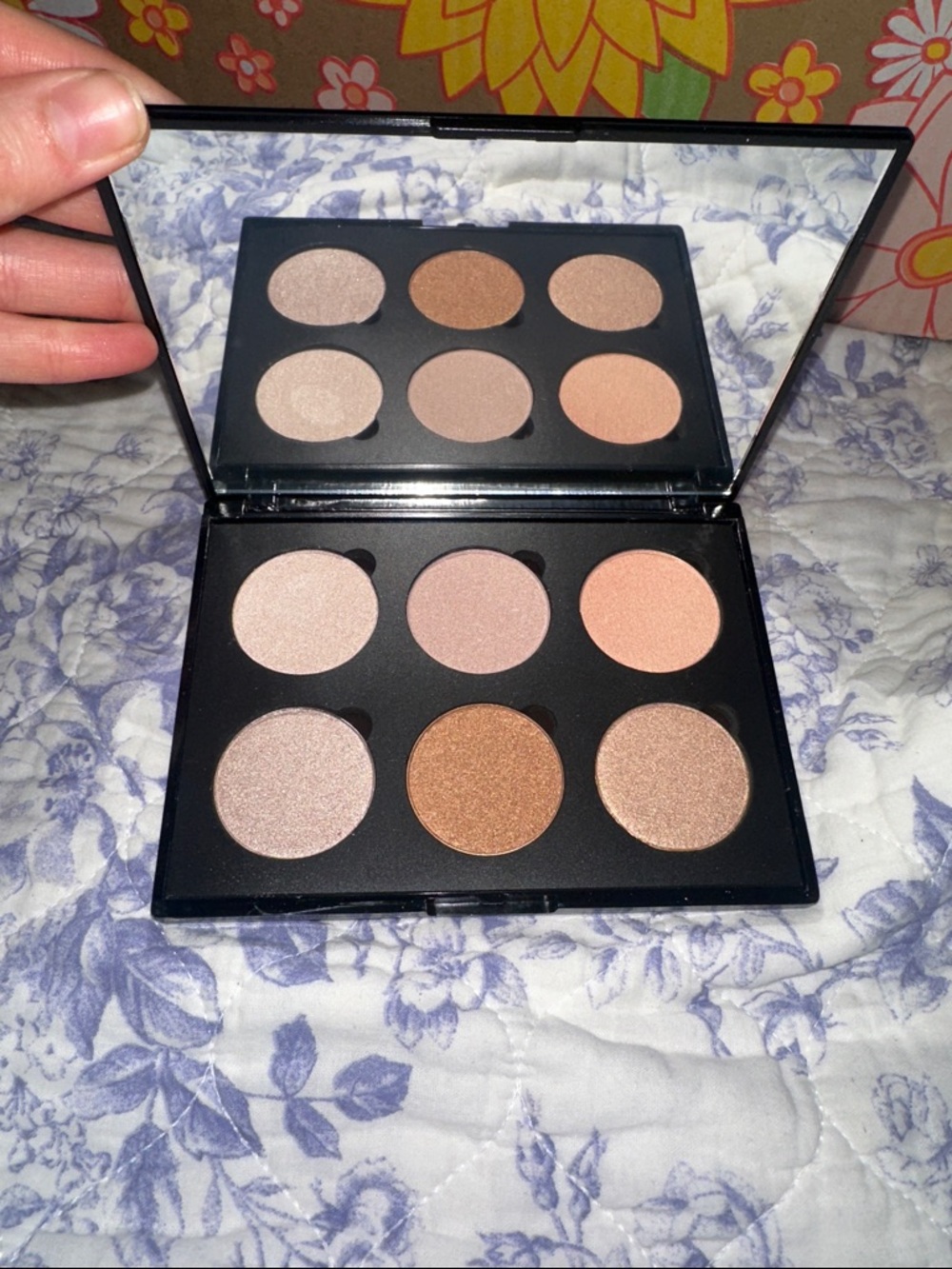 Neutral Shimmer Eyeshadow Palette - 6-Pan Warm & Rose Tones